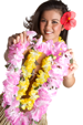 Lei Greet